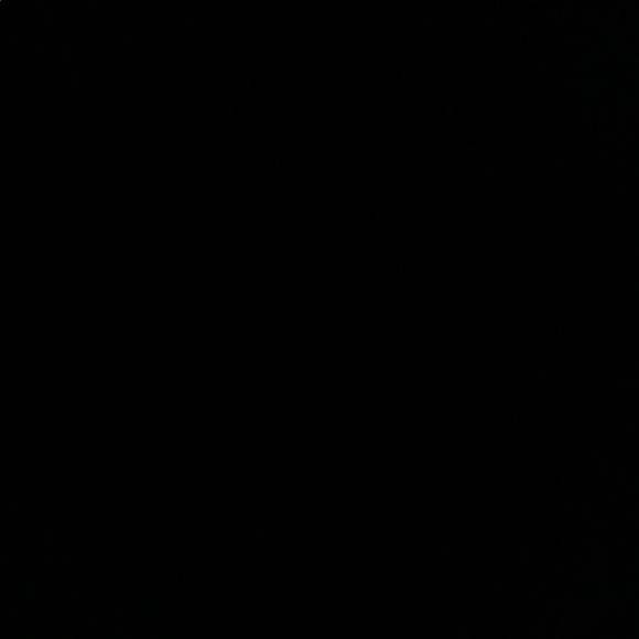 Meet your Posher, Lauren - Picture 1 of 1